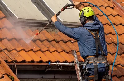 Démoussage et hydrofuge de toiture à Molinons